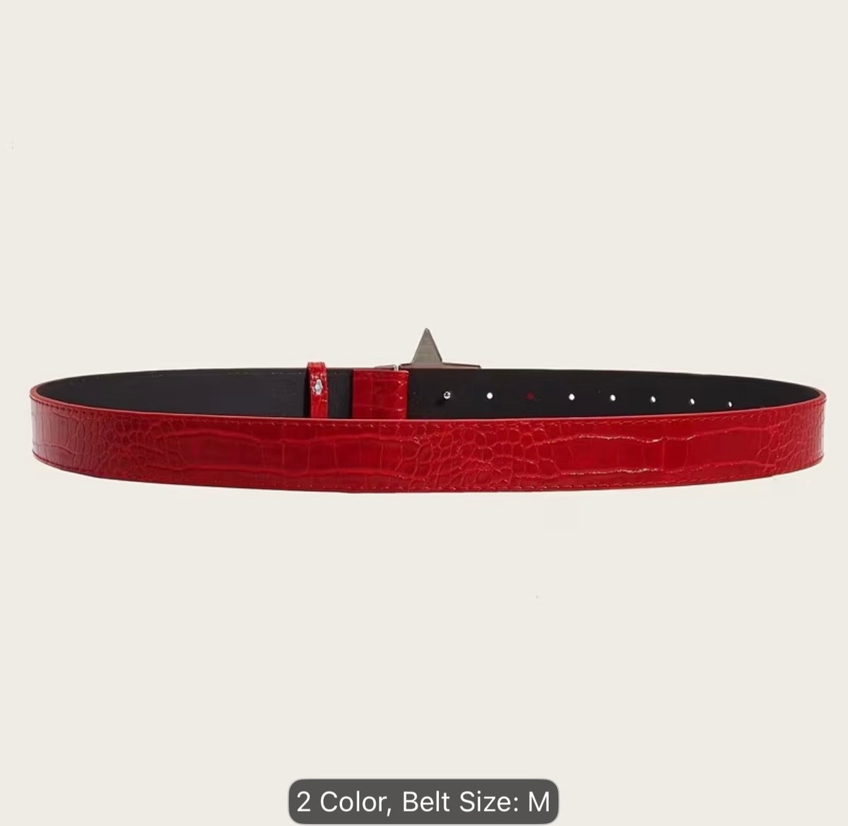 SG S-BELT